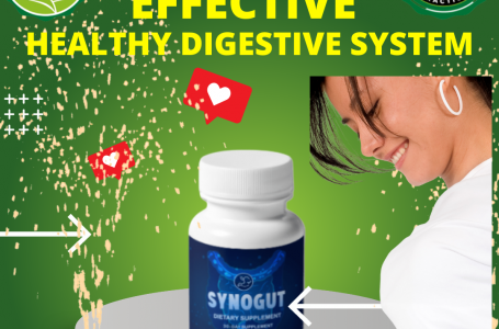Synogut: A Quick Way to Keep a Healthy Digestive System!