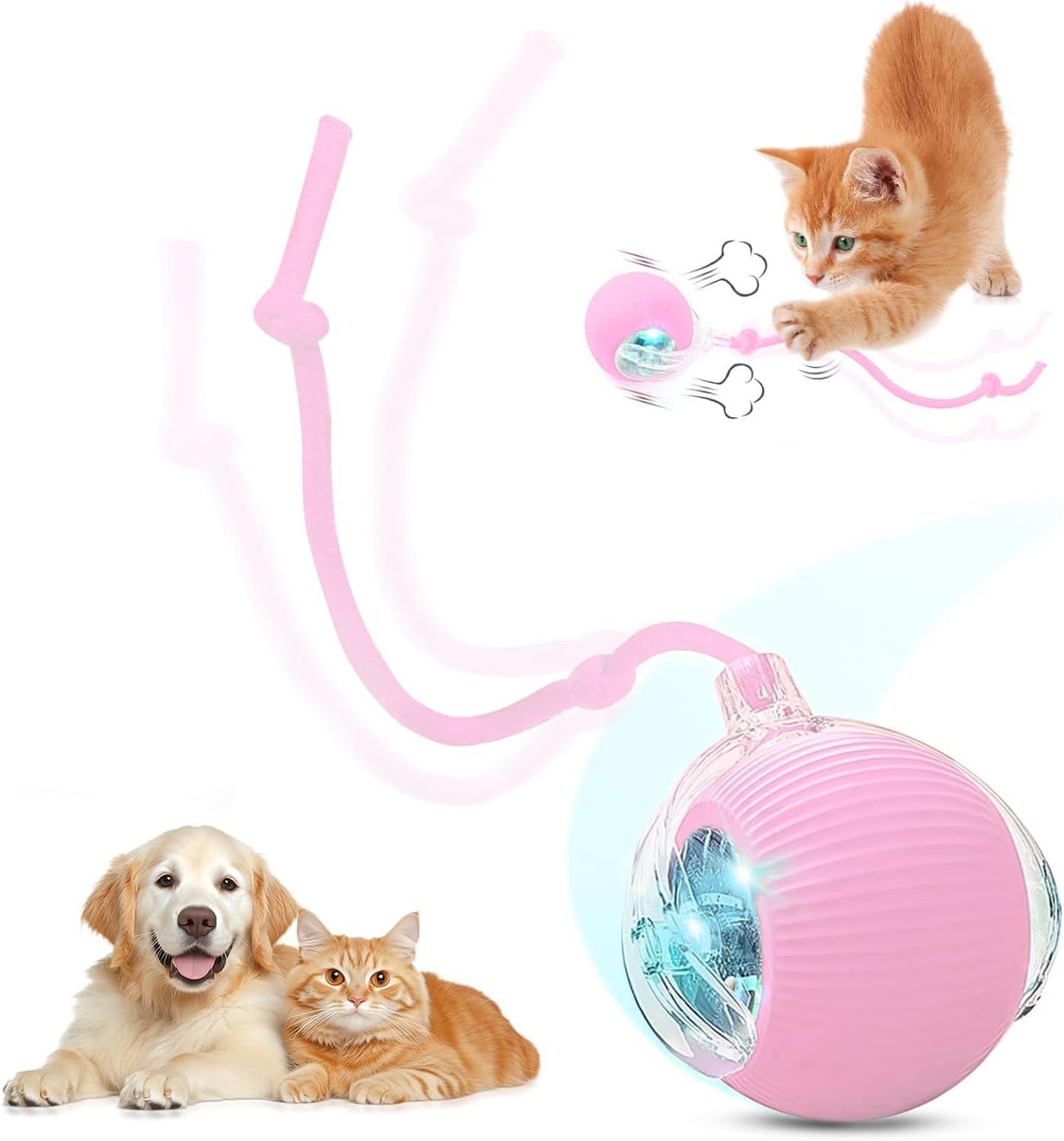 Essential Pet Care Products: Play, Clean, and Freshen up
