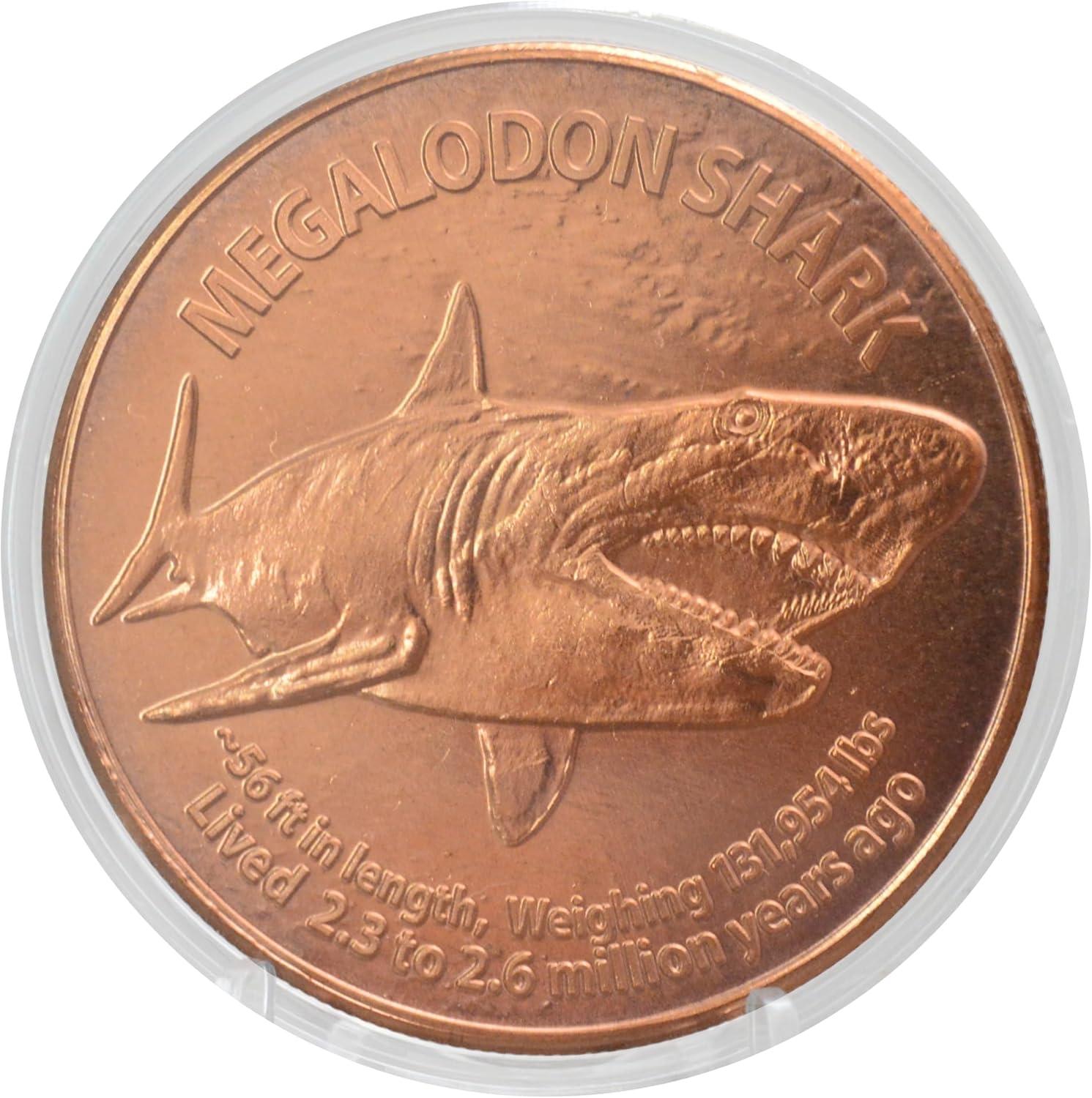 Explore Unique Coin Collections from History's Depths