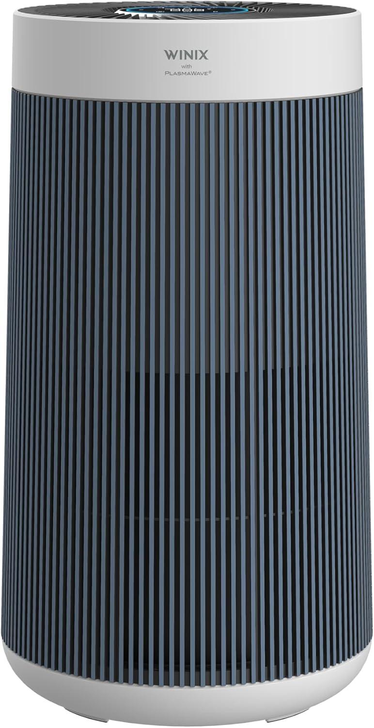 top Air Purifiers for Large Rooms: WINIX, LEVOIT & More