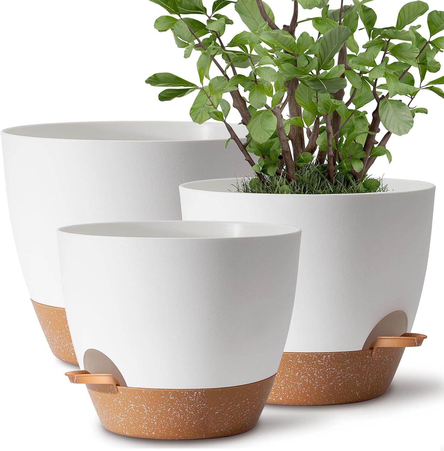 The Best Self-Watering Plant Pots and Devices of 2023