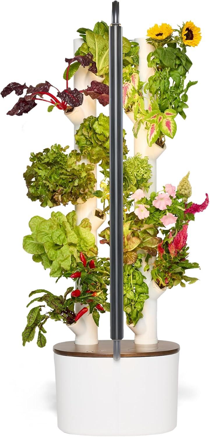 Explore Efficient Indoor Gardening with Gardyn Systems