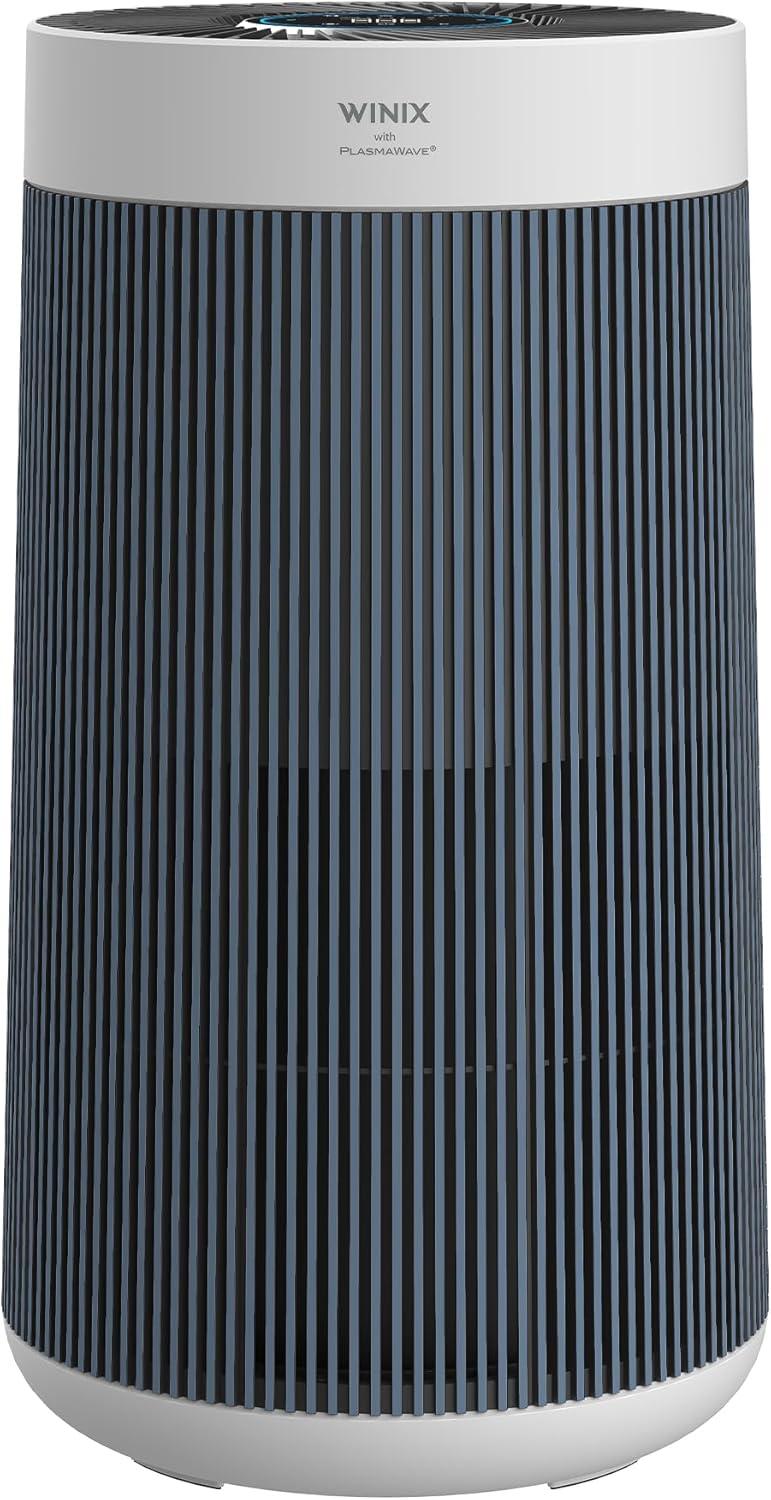 Top Air Purifiers for Large Rooms: LEVOIT vs. WINIX