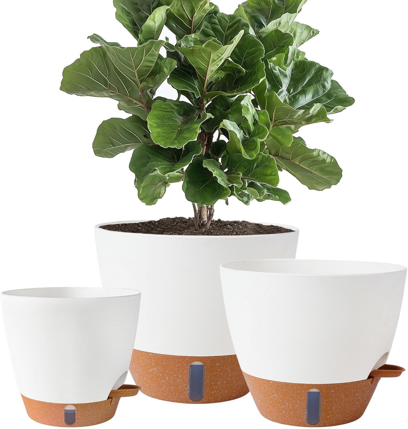 The Best Self-Watering Plant Pots and Devices of 2023