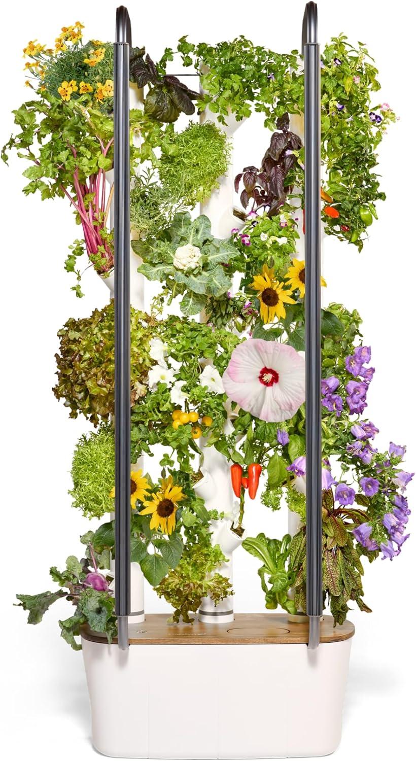 Top Gardyn 4.0 Hydroponic Systems for Indoor Greens