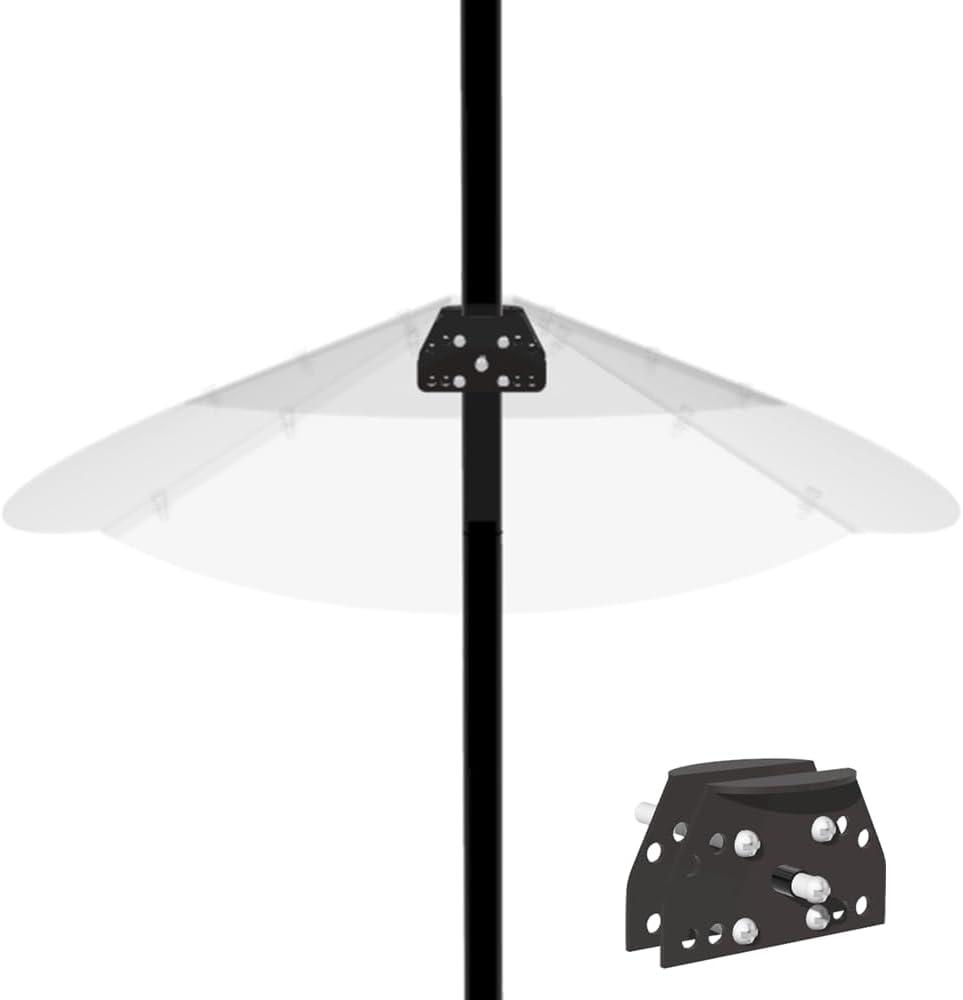 Top Bird Feeders & Accessories for your Backyard