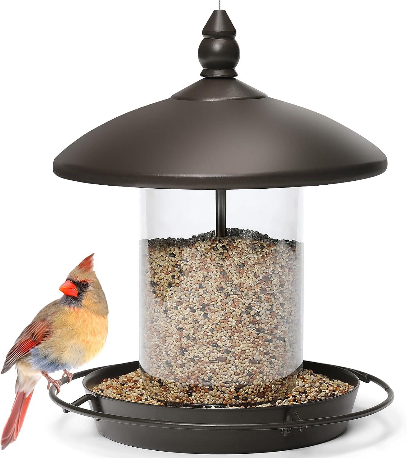 Top Bird Feeders & Accessories for Your Backyard
