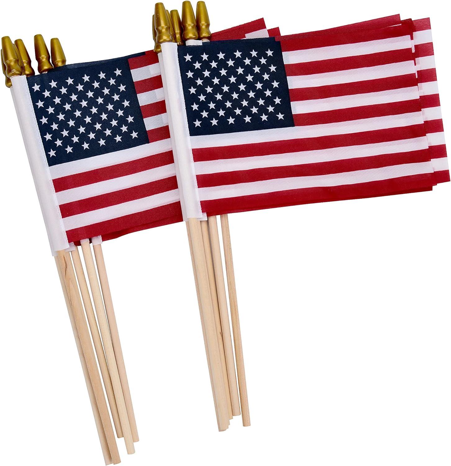 Honoring Memorial Days: Books, Flags, and Tributes