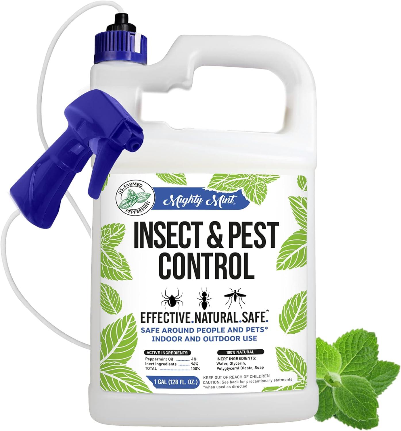 Discover Top Mighty Mint Pest Solutions: Natural Mint Oils