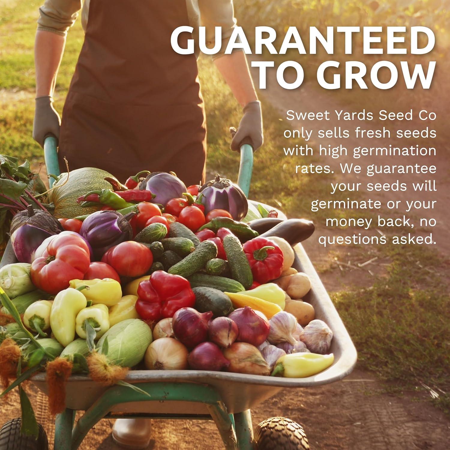 Top Herb Seed Packs for a Flourishing Garden