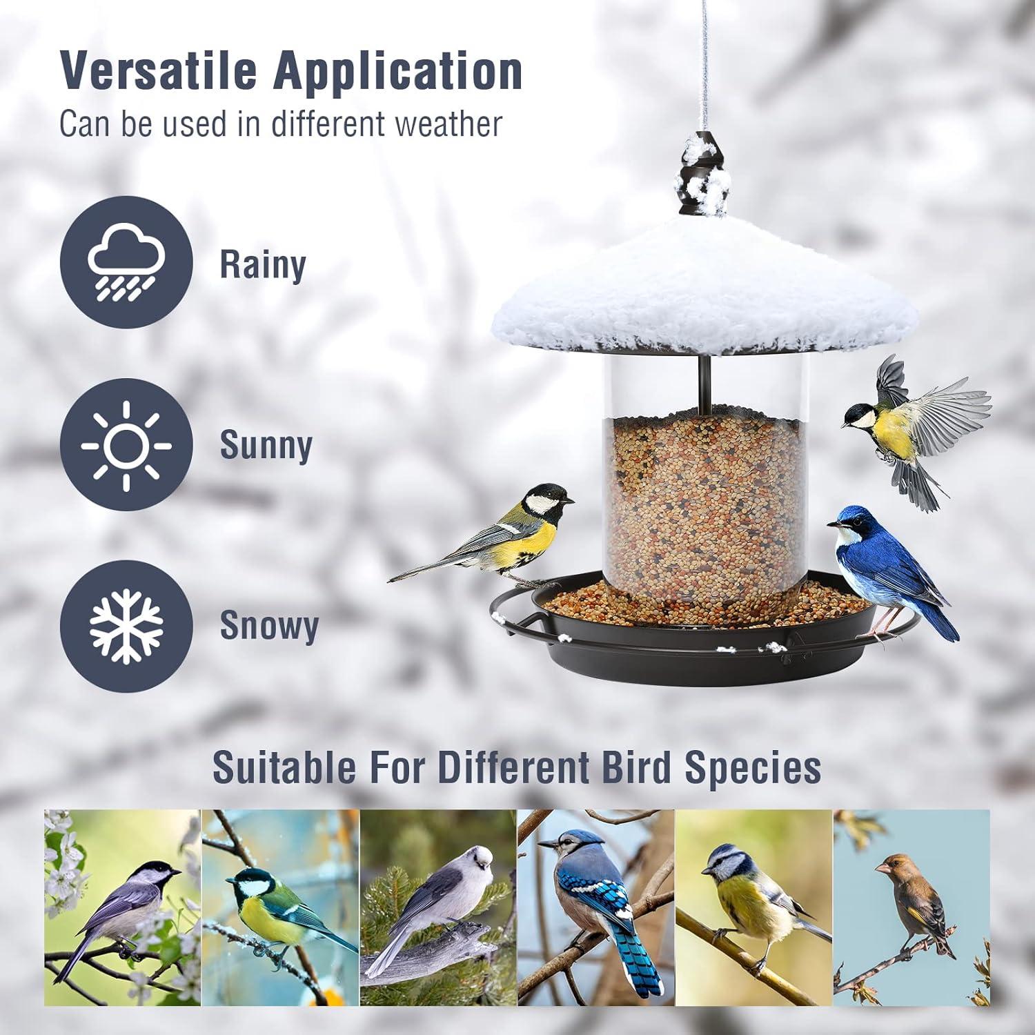 top metal bird Feeders for Outdoor Bird Lovers