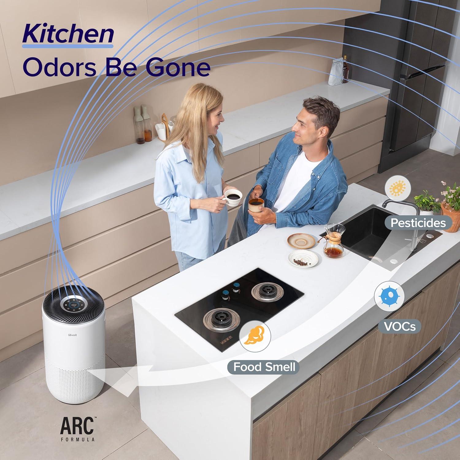 Top Air Purifiers for Every Room: LEVOIT and AIRDOCTOR